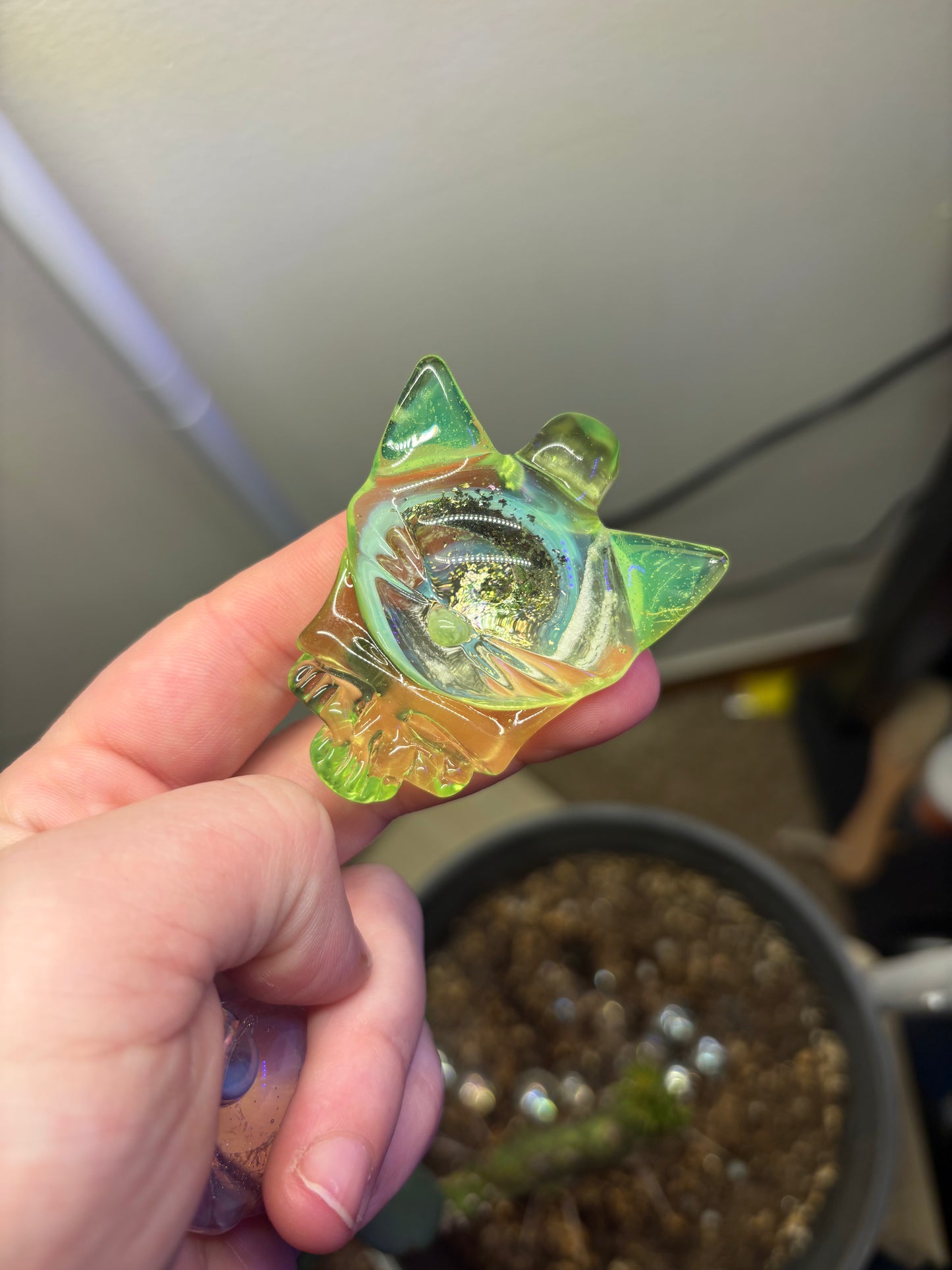 Cici X Rhythm Kitty Stealie