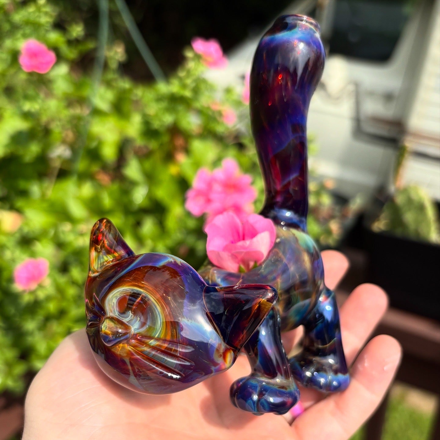 Exp Dbl Amber #1 Dry Pipe