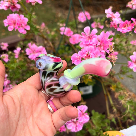Auction cheetah Sherlock